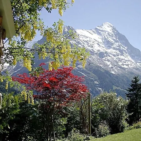 Appartement Mislin, Direkte Bergsicht Grindelwald